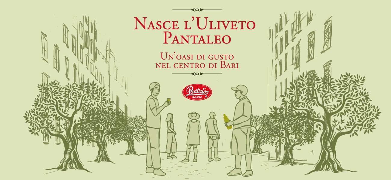 Nasce l’Uliveto Pantaleo