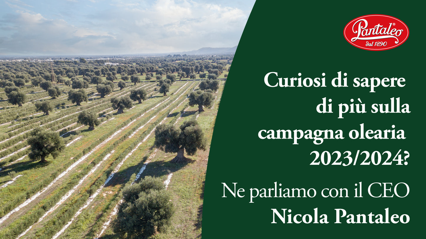 Campagna Olearia 2023/2024: intervista a Nicola Pantaleo